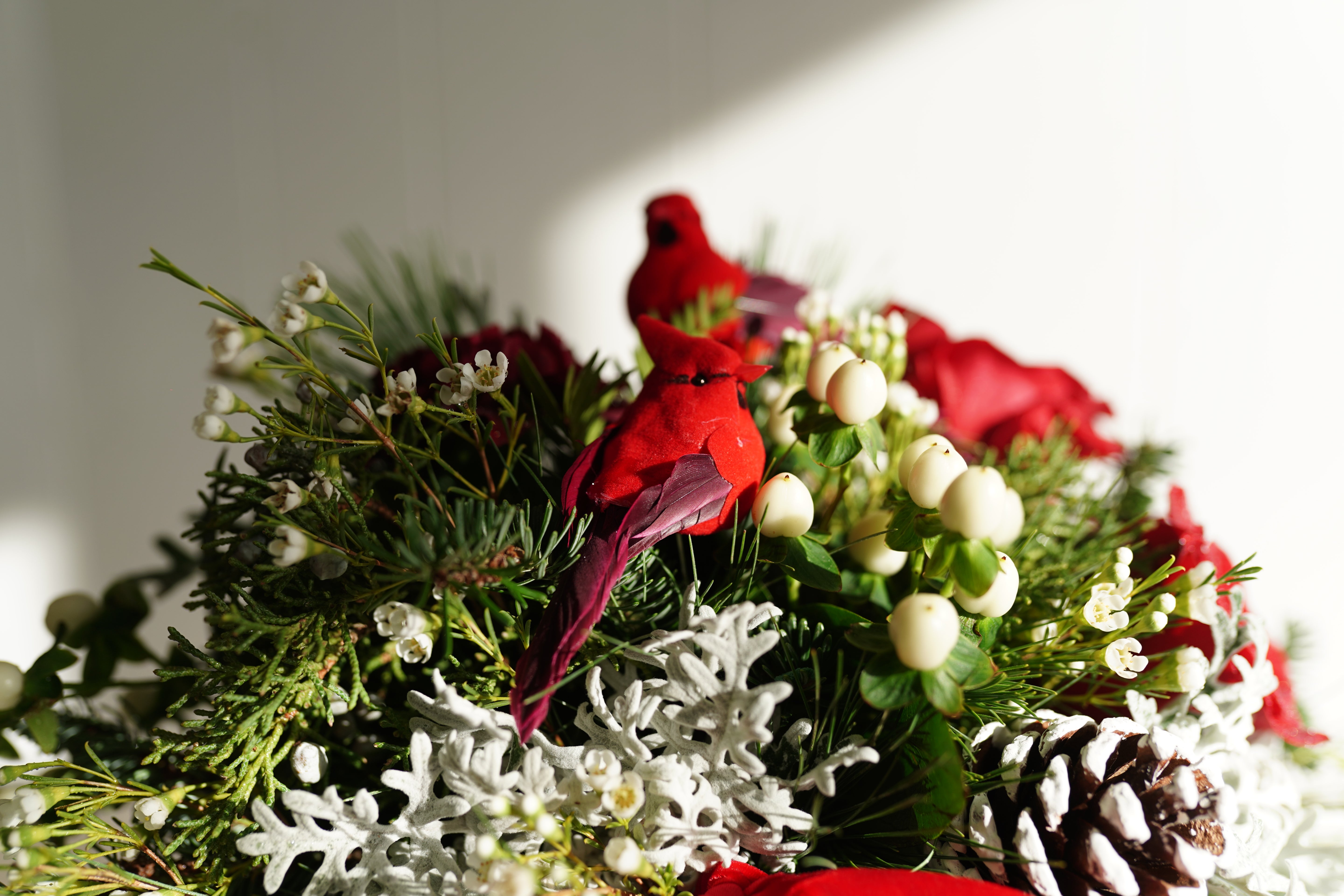 Cardinal Christmas