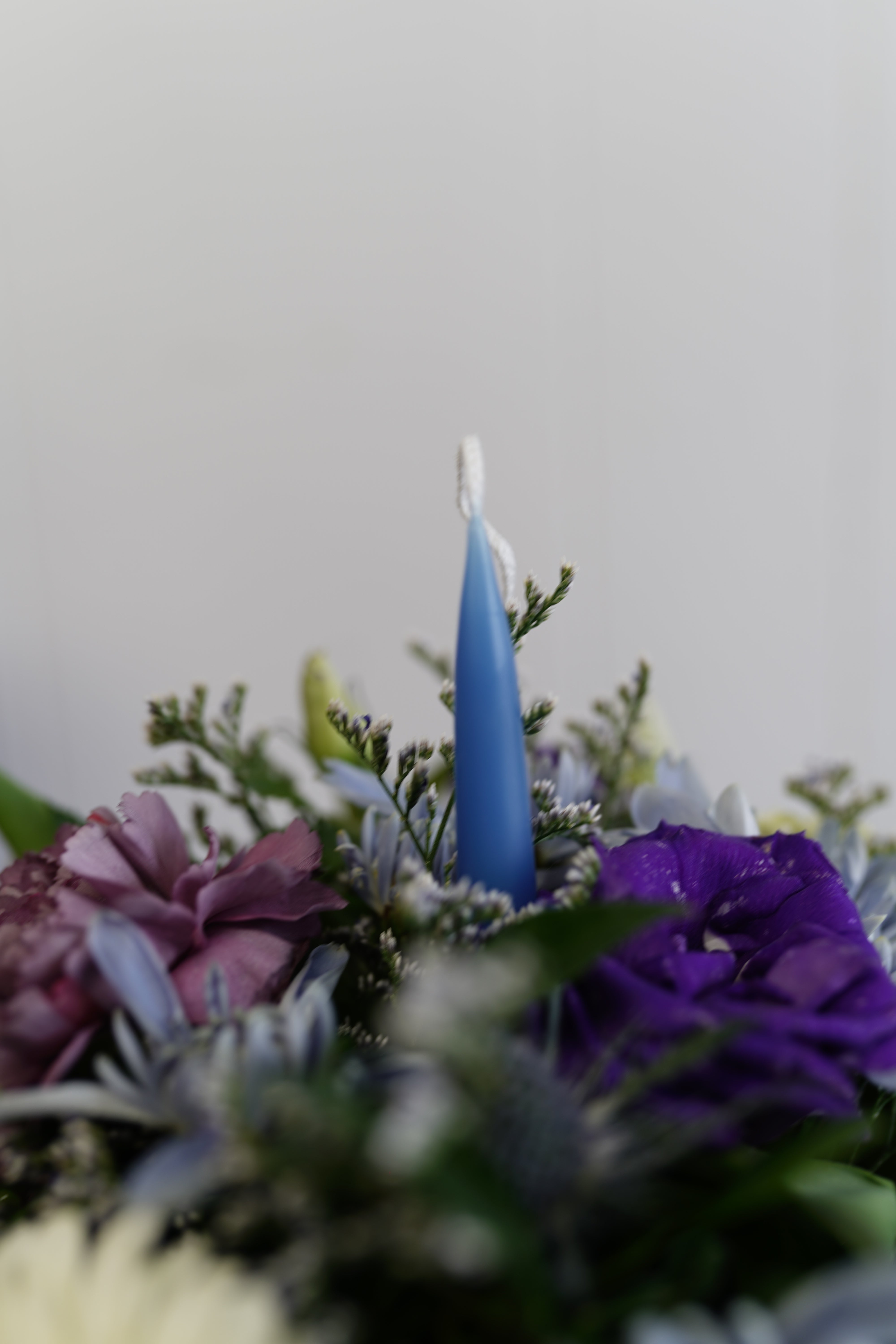 A wish in Bloom