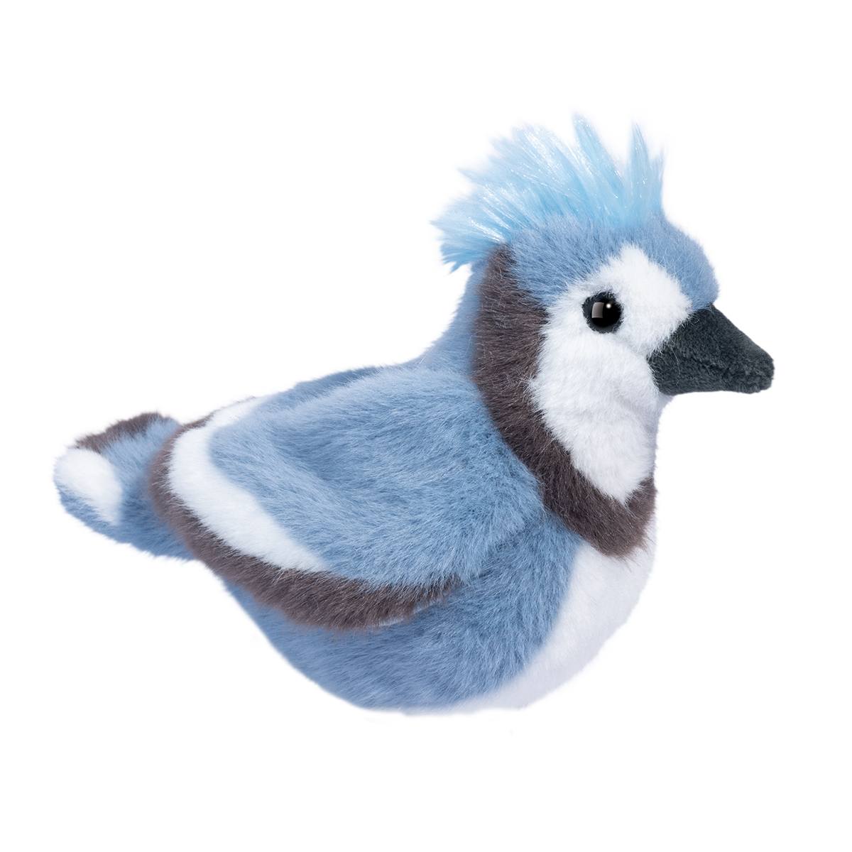 Denim Blue jay