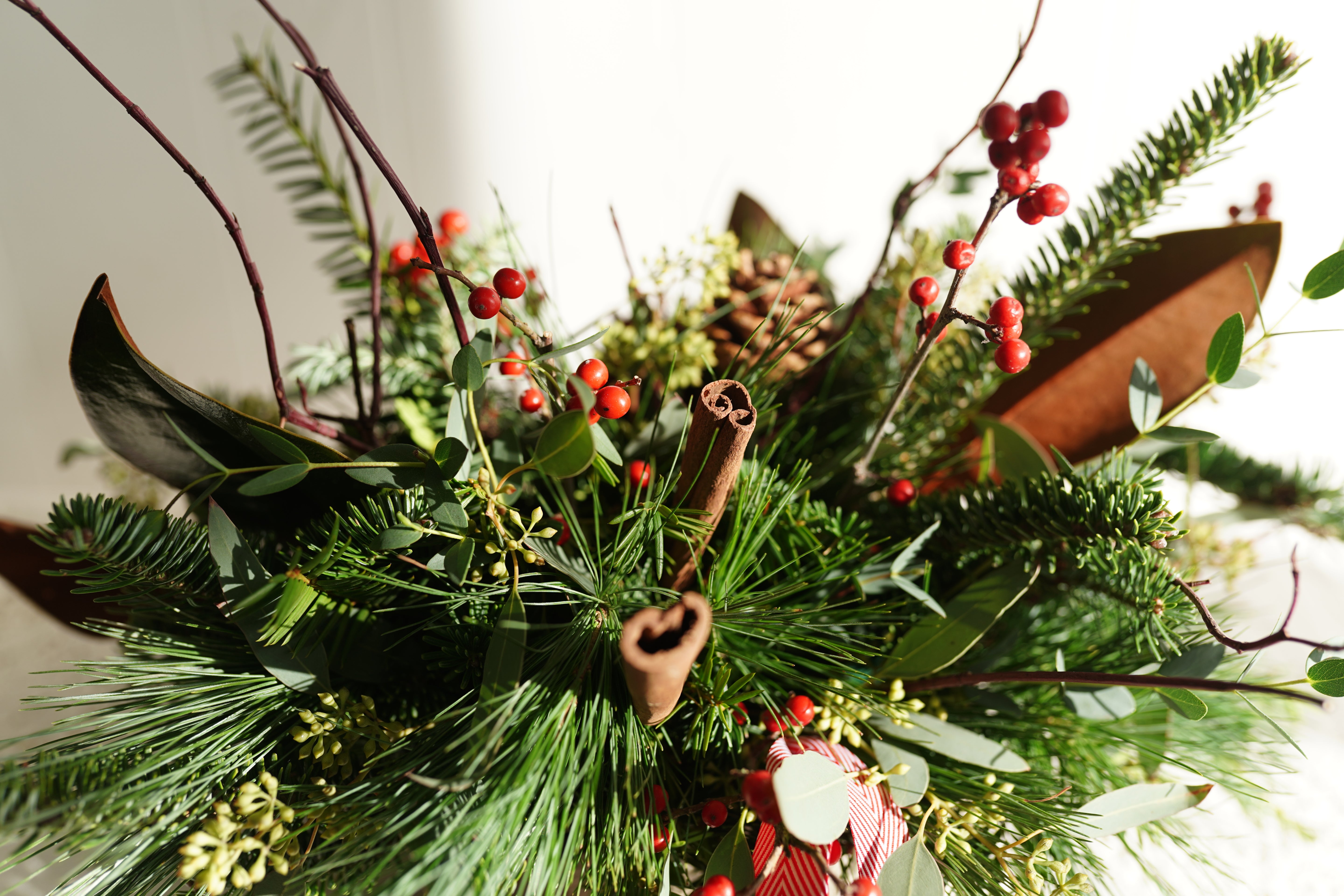 Woodsy and Wild Winter Box