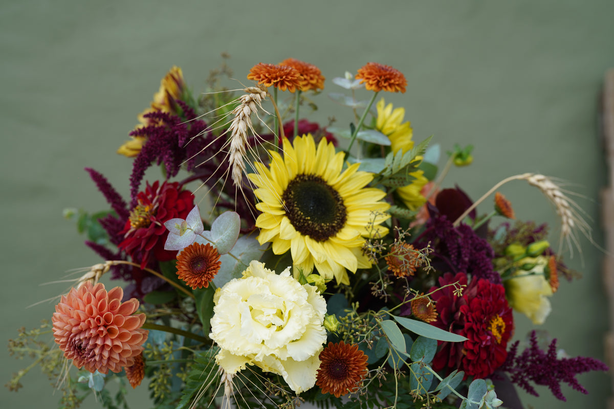 Pumpkinful of Posies