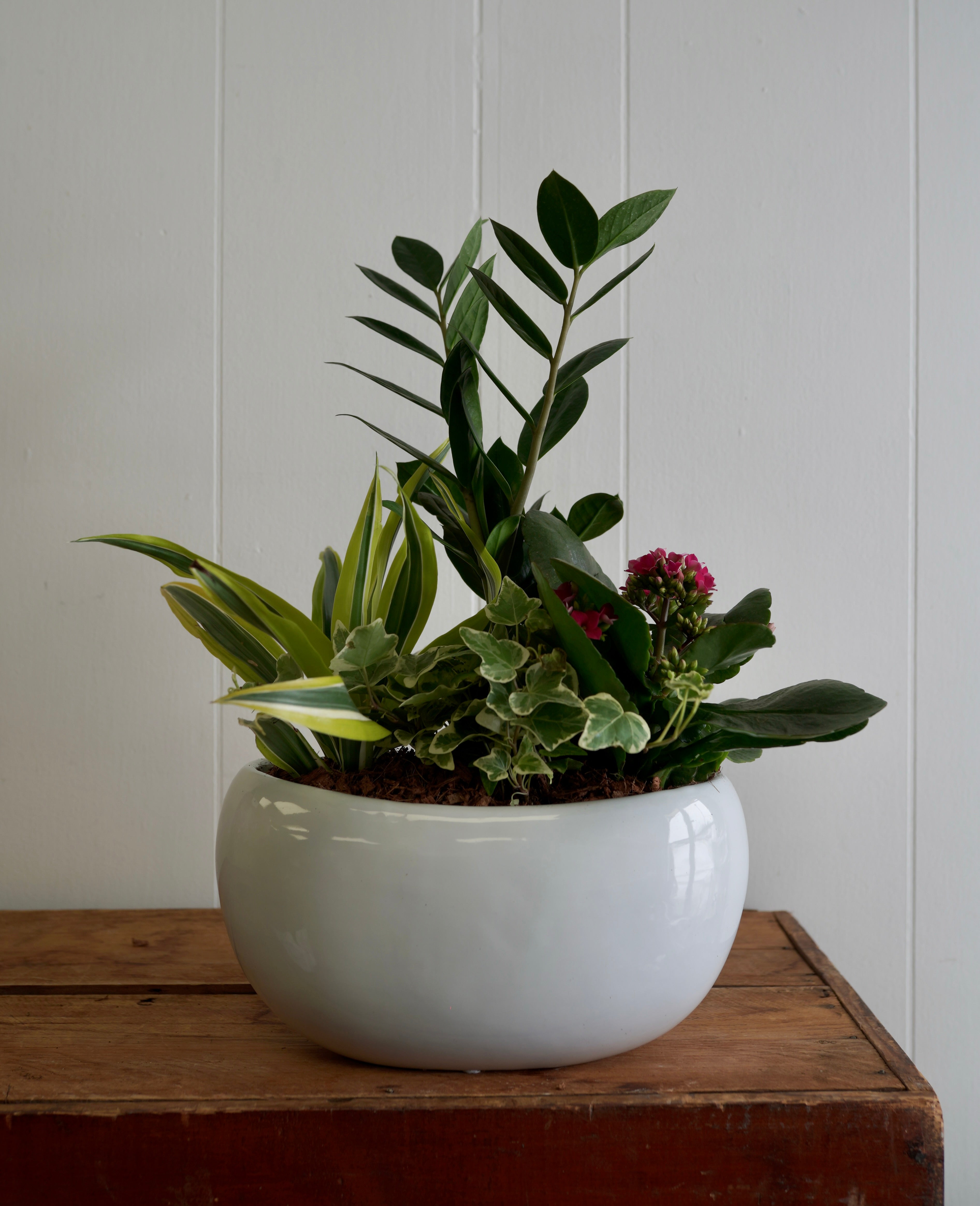 Mixed Tropical Planter