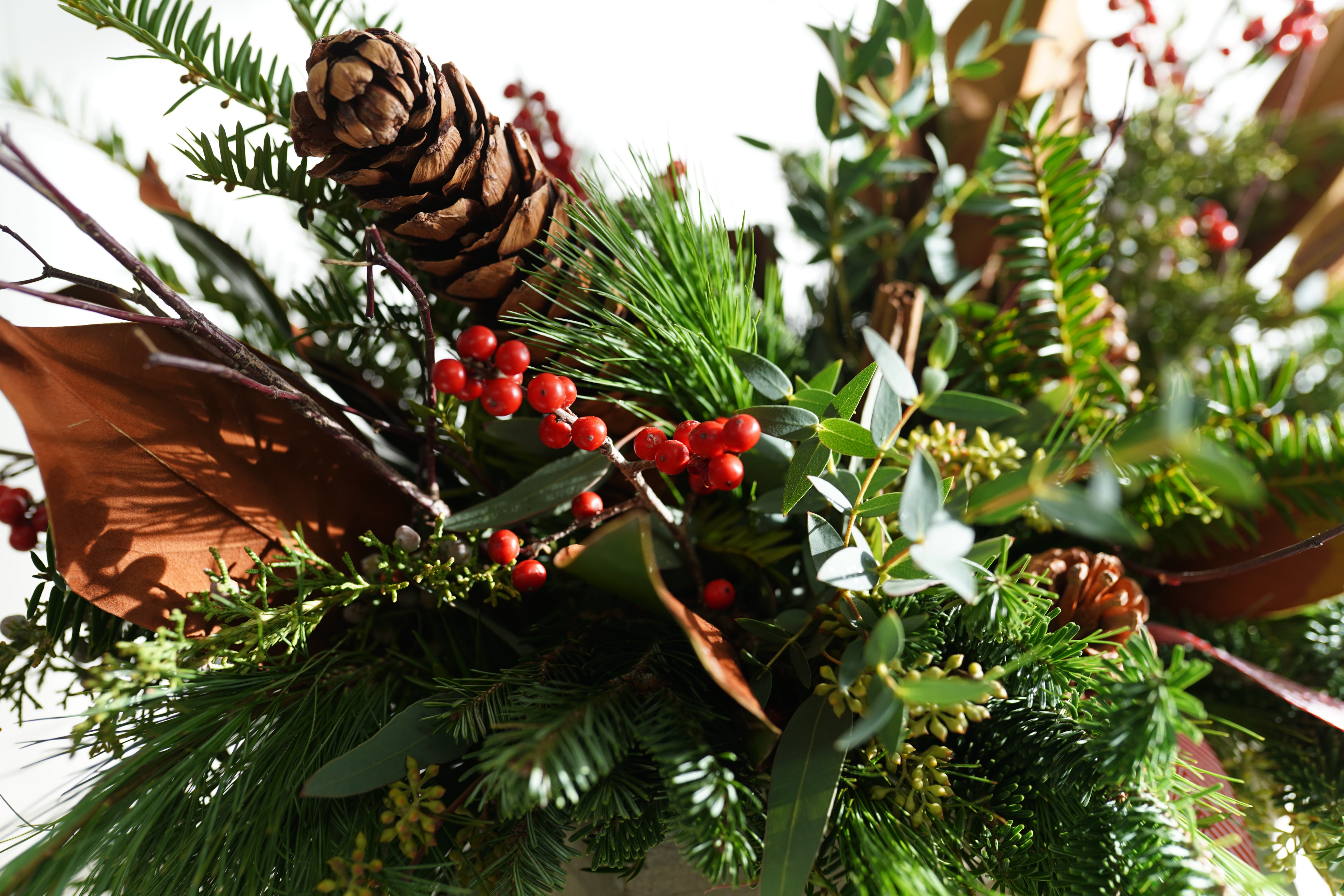 Woodsy and Wild Winter Box